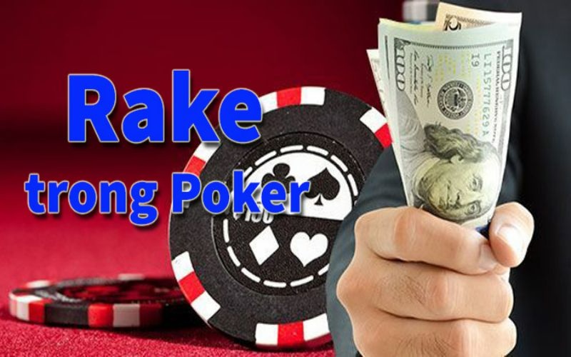 Rake trong Poker có gì đặc biệt