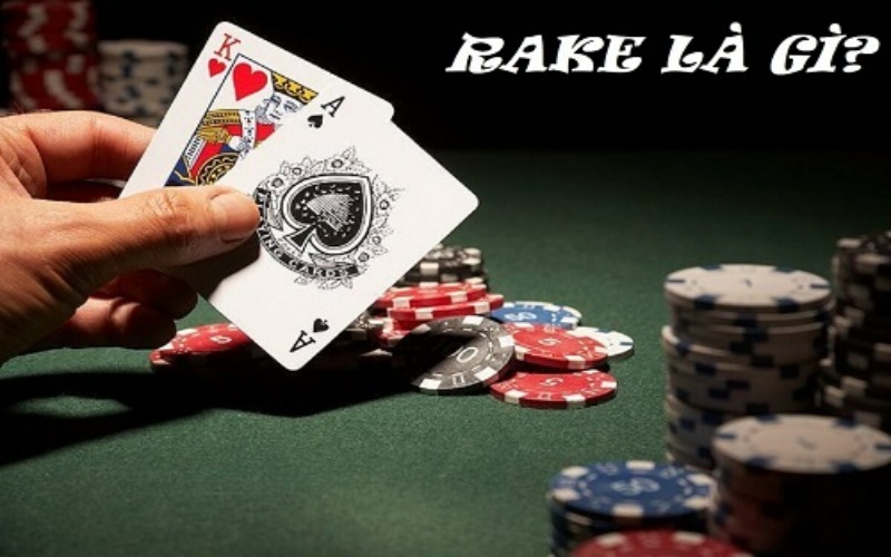 Giải thích thuật ngữ Rake trong Poker